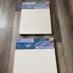 2 Back Stapled Traditional Canvases - NEW